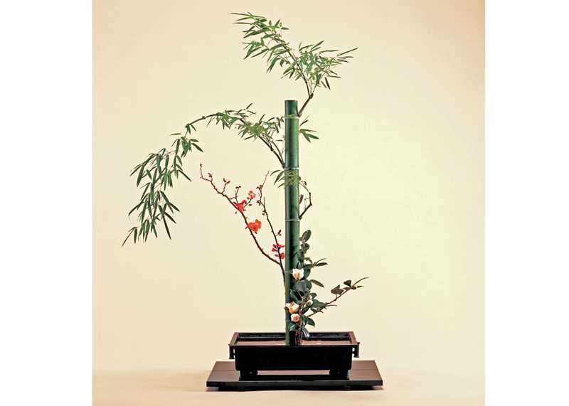 © Shozo Sato, Arrangement de bambous