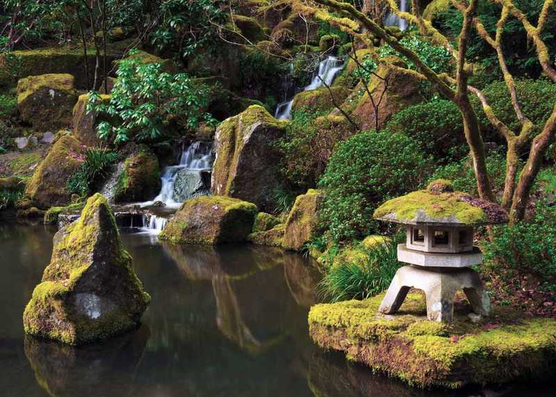 5 bonnes raisons de visiter le jardin japonais de Portland