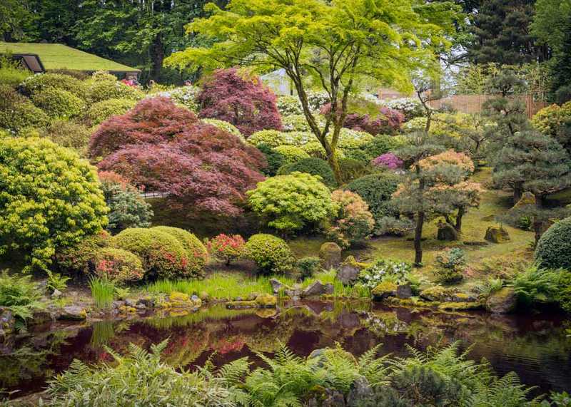 © Bruce Forster, Jardin de l'étang de promenade