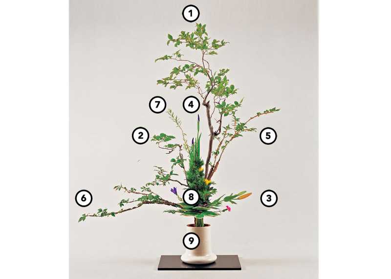 © Shozo Sato, Positions de l'Ikebana