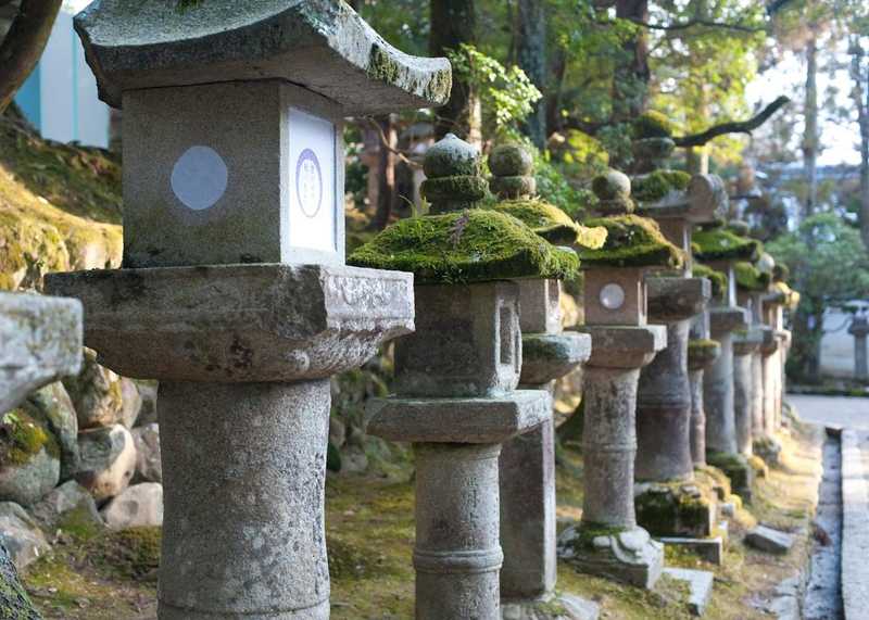 Lanternes en pierre au Kasuga Taisha