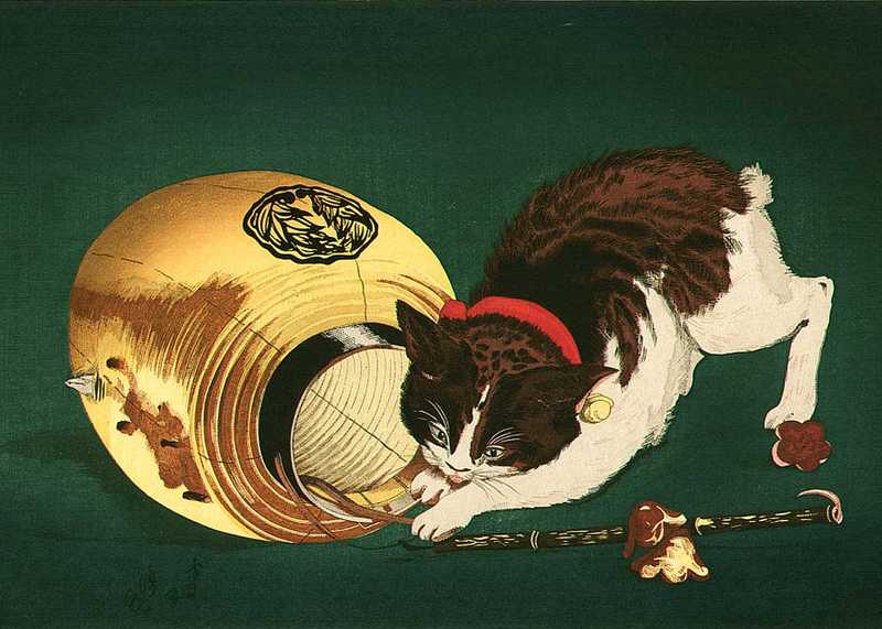 Chat et lanterne, gravure sur bois de Kiyochika Kobayashi, 1886