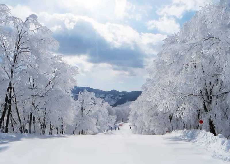 Hakuba