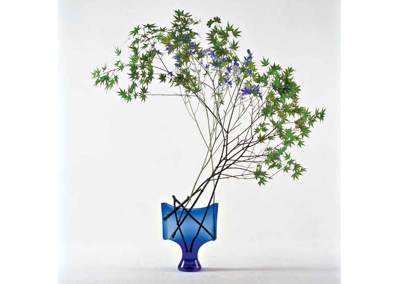 © Shozo Sato, Ikebana d'érable en style libre