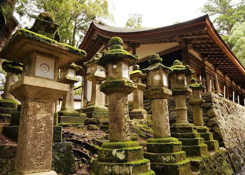 Lanternes en pierre à Kasuga Taisha