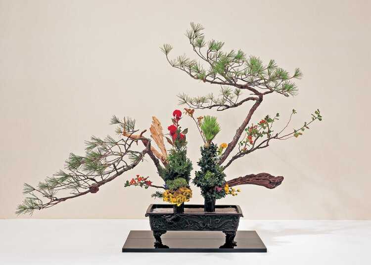 Ikebana : Tout ce que vous devez savoir sur l'art floral japonais